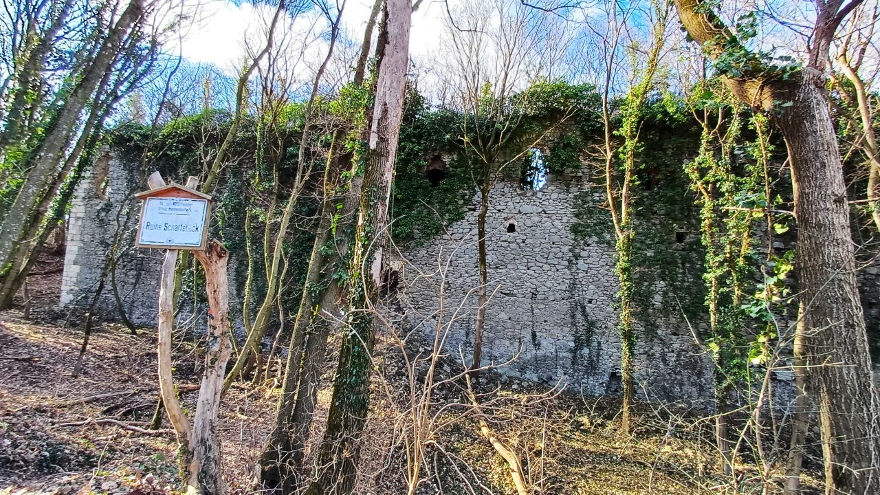 Scharfeneck Mannersdorf am Leithagebirge