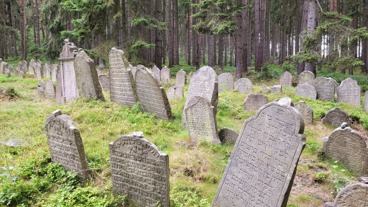 Židovský hřbitov Drmoul