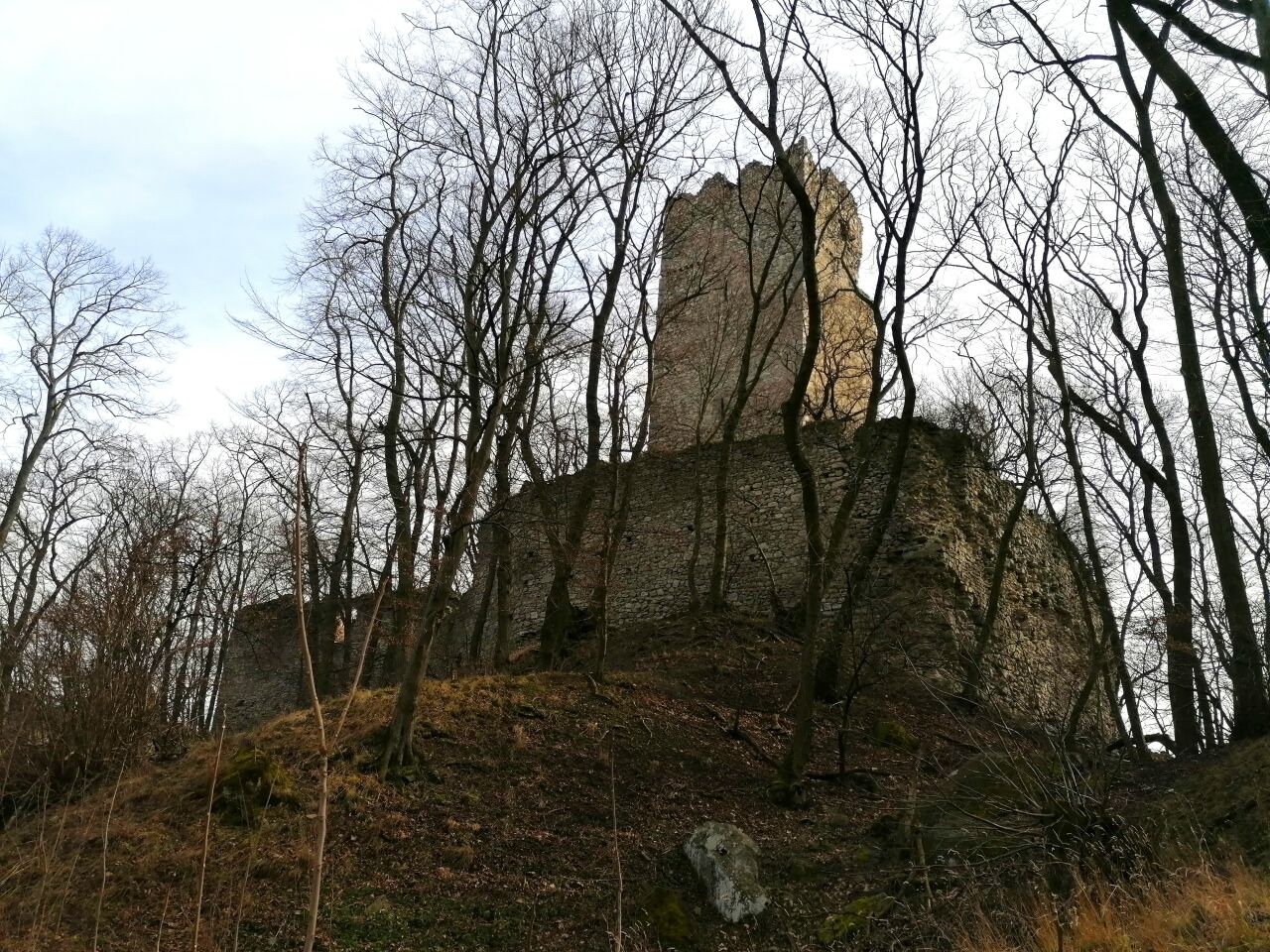 Pottenburg Wolfsthal