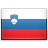 Slovenska flag