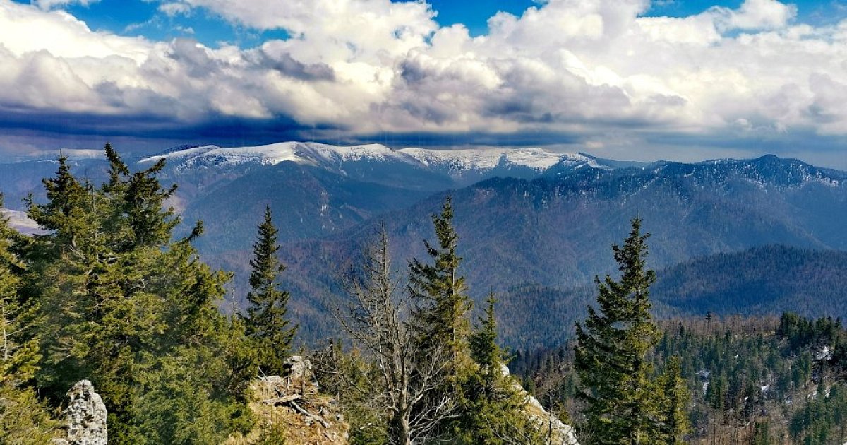 Slovakisk åttabordsbräde