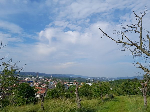 Havlín