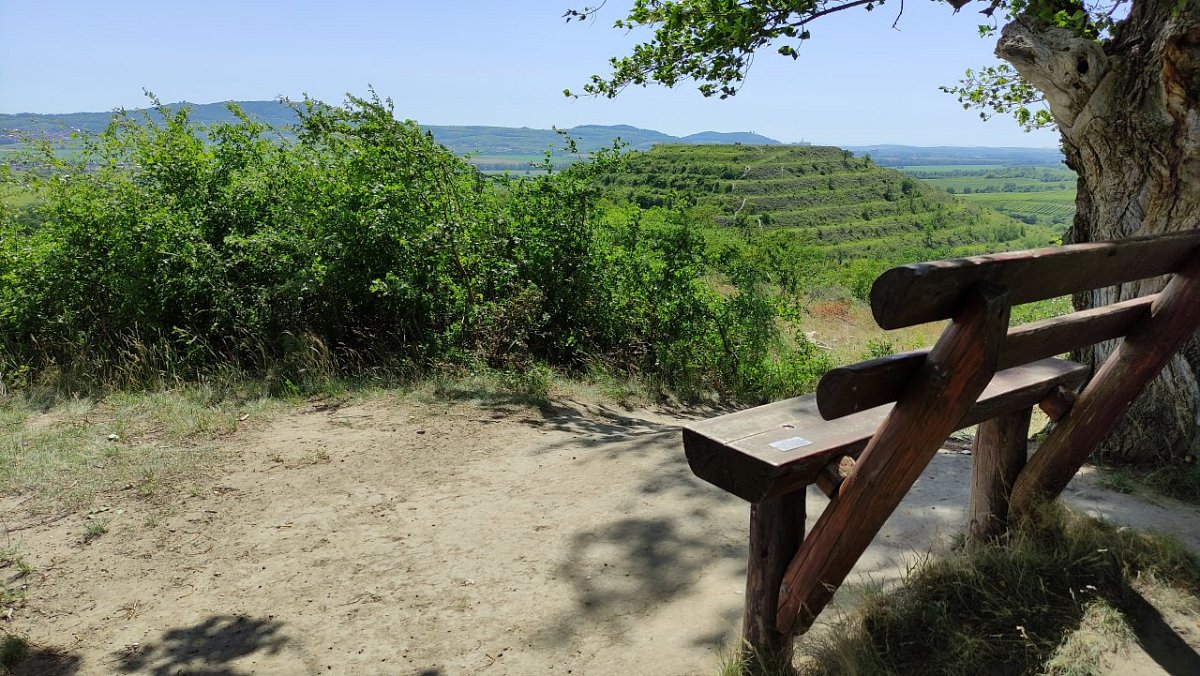 Růžová hora (282&nbsp;m)