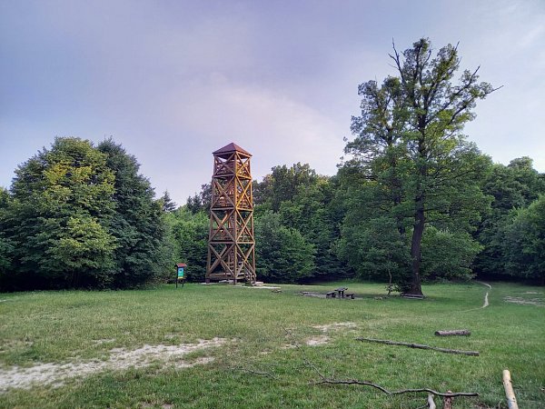 Mestská hora (Széchenyiho chlm)
