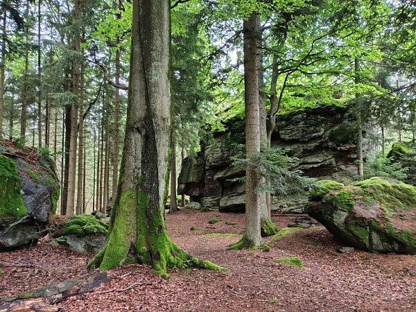 Rohanovský vrch
