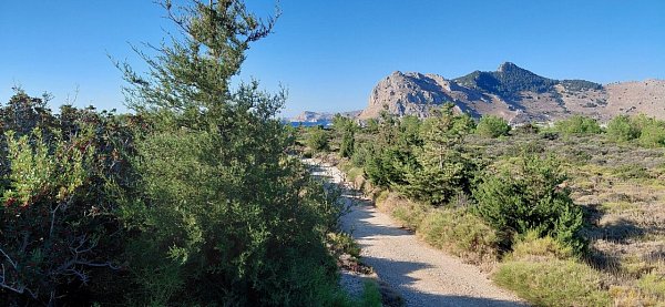 Θεοτoκος