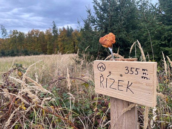Řízek