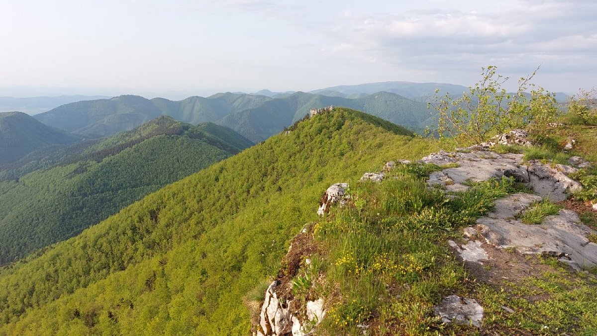 Rovné skaly (1265&nbsp;m)