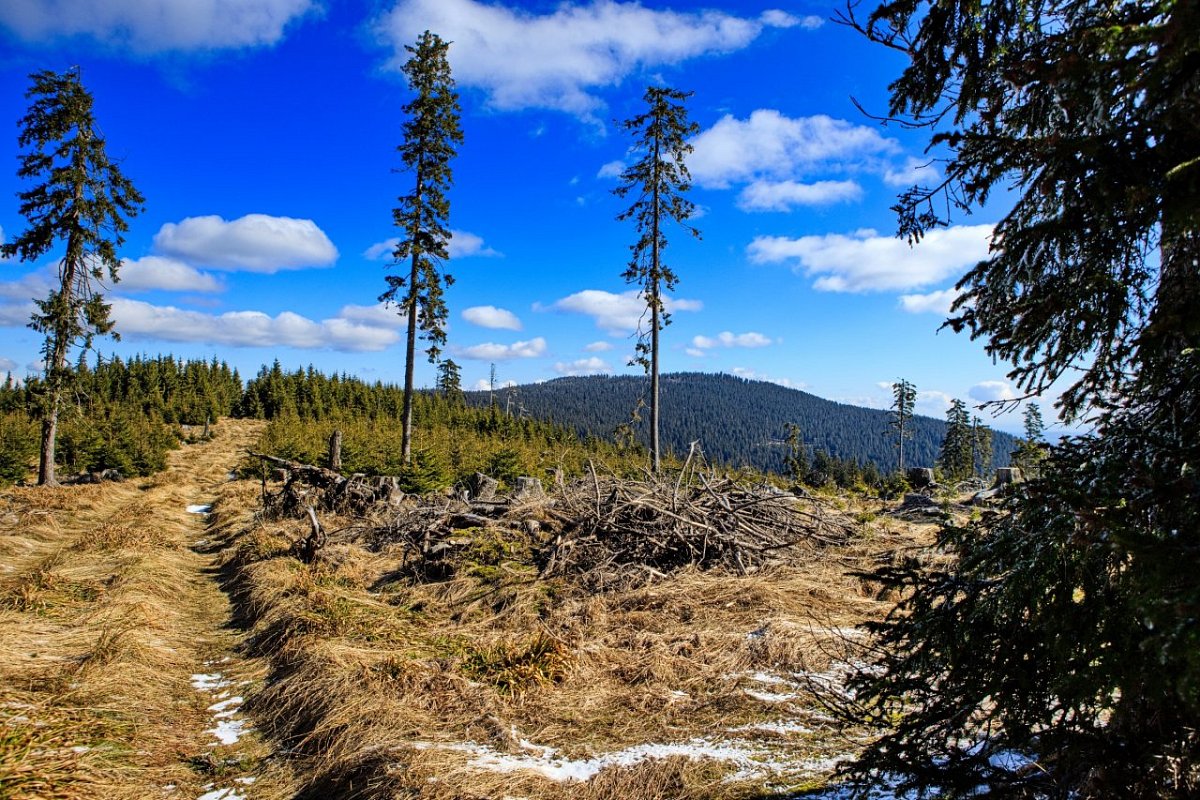 Basumský hřeben (1288&nbsp;m)