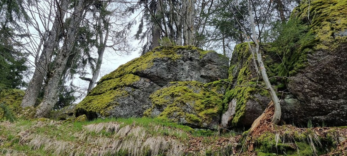Kapraď (1026&nbsp;m)