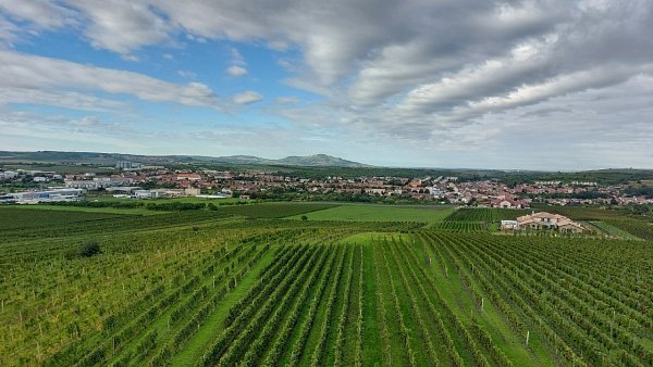 Slunečná