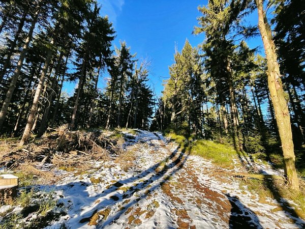 Železný karpál