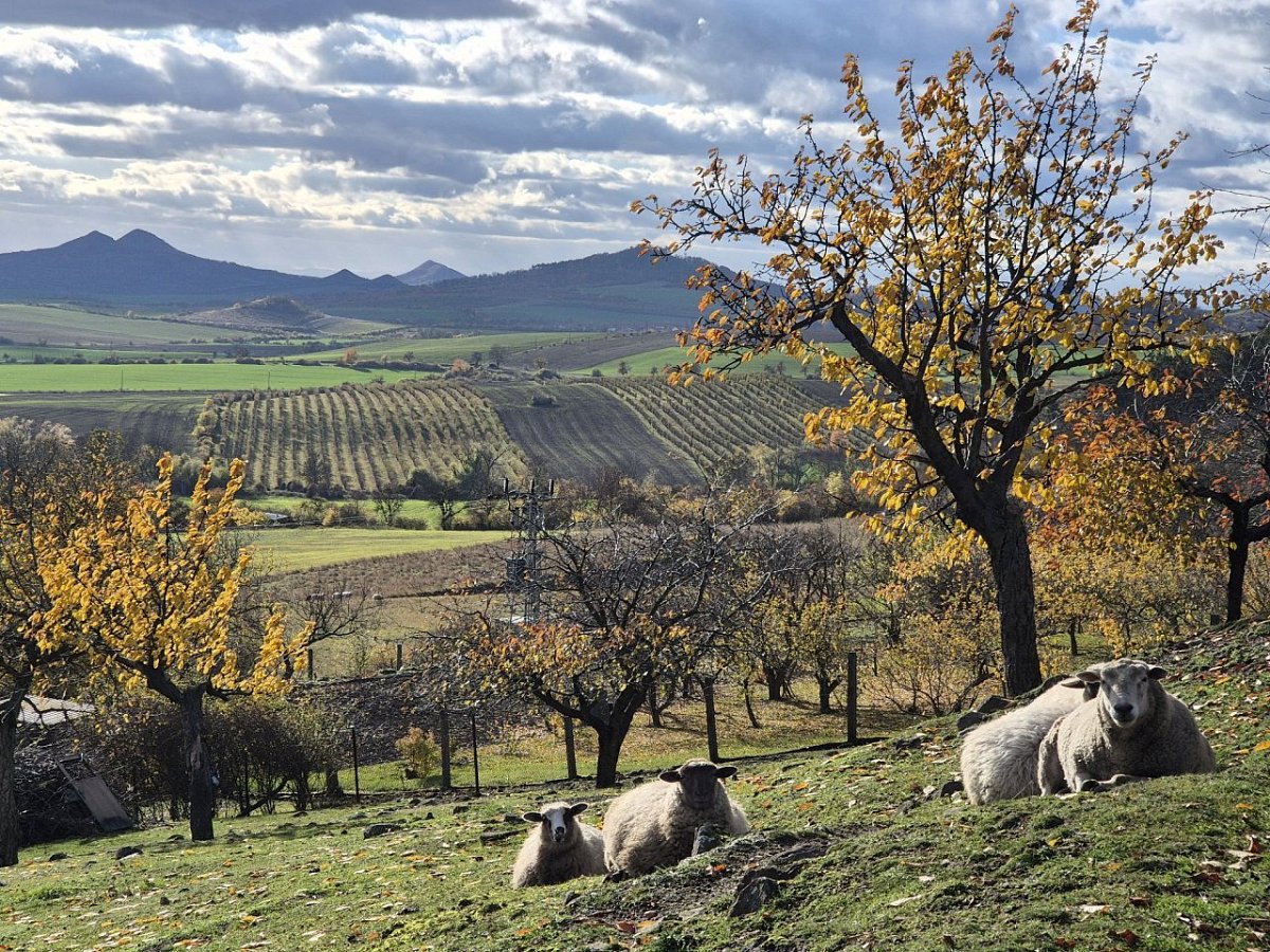 Blešenský vrch (520&nbsp;m)