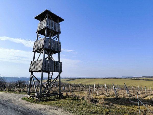 Židoviny
