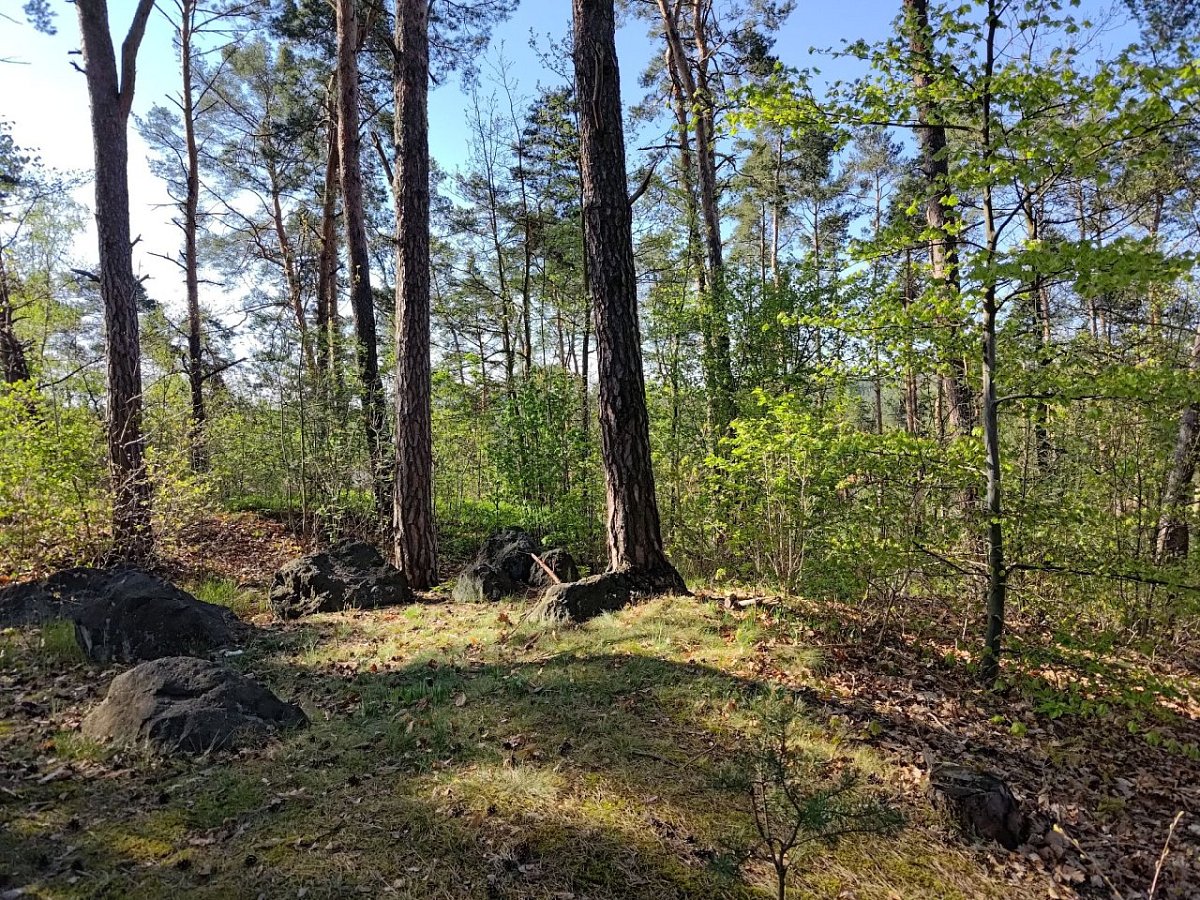 Drážeň (295&nbsp;m)