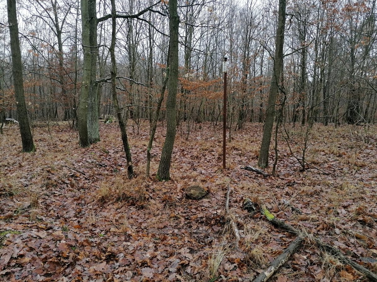 Šuráň (420&nbsp;m)