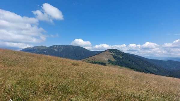 Handliarka
