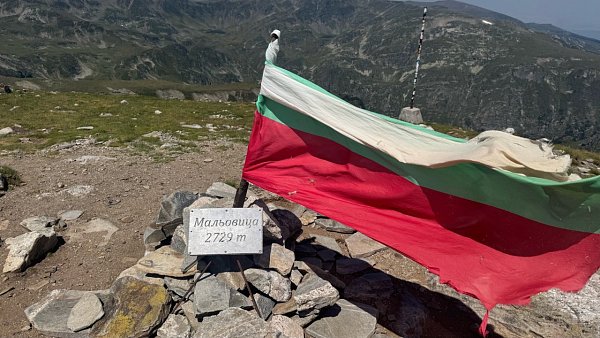 Мальовица