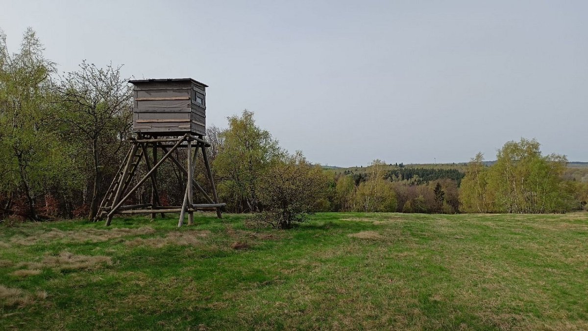Hájek (590&nbsp;m)