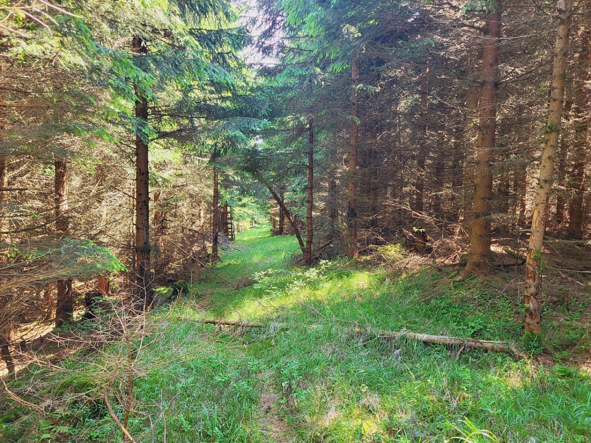 Ztracený vrch (1076&nbsp;m)