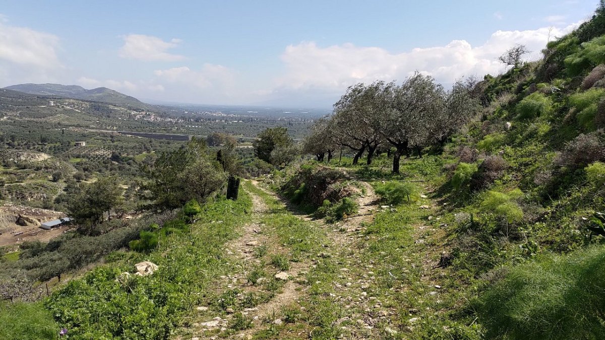 Ψηλό Καστέλλι (250&nbsp;m)