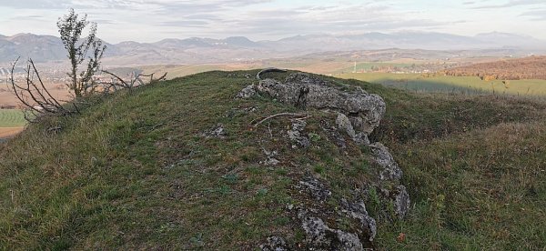 Páncová
