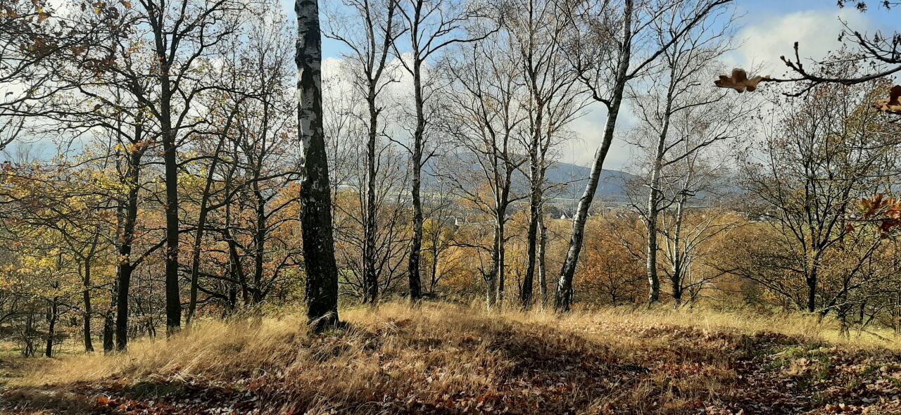 Horka