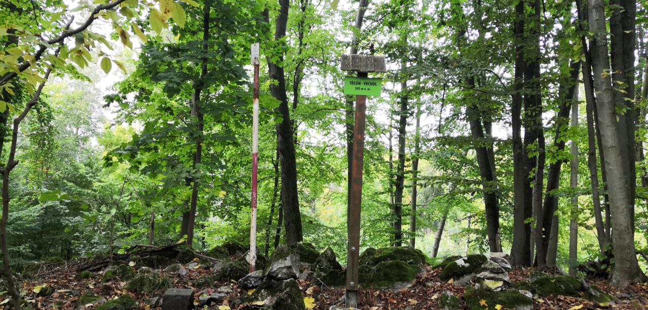 Třesín