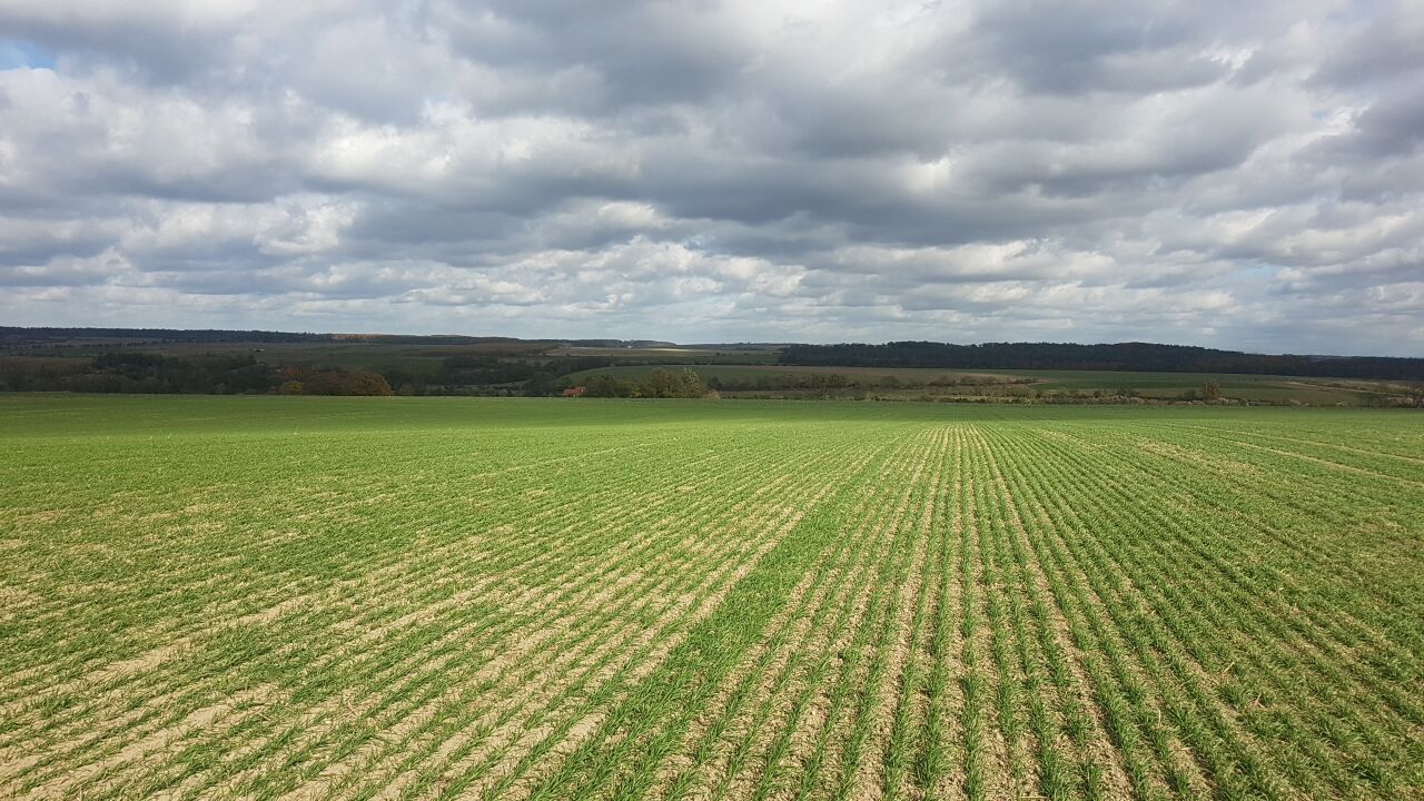 Na Neckách (240&nbsp;m)