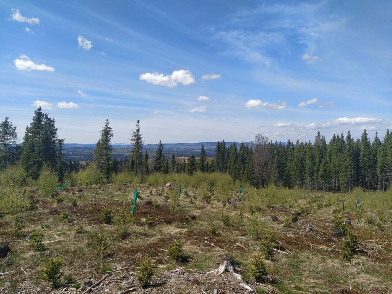 Hřeben (771&nbsp;m)