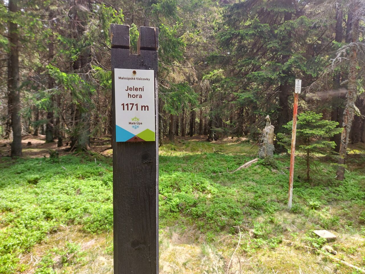 Jelení hora