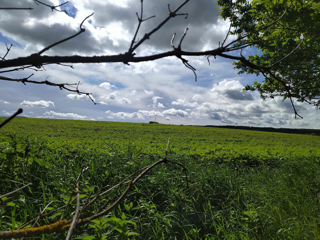 Bruska (171&nbsp;m)
