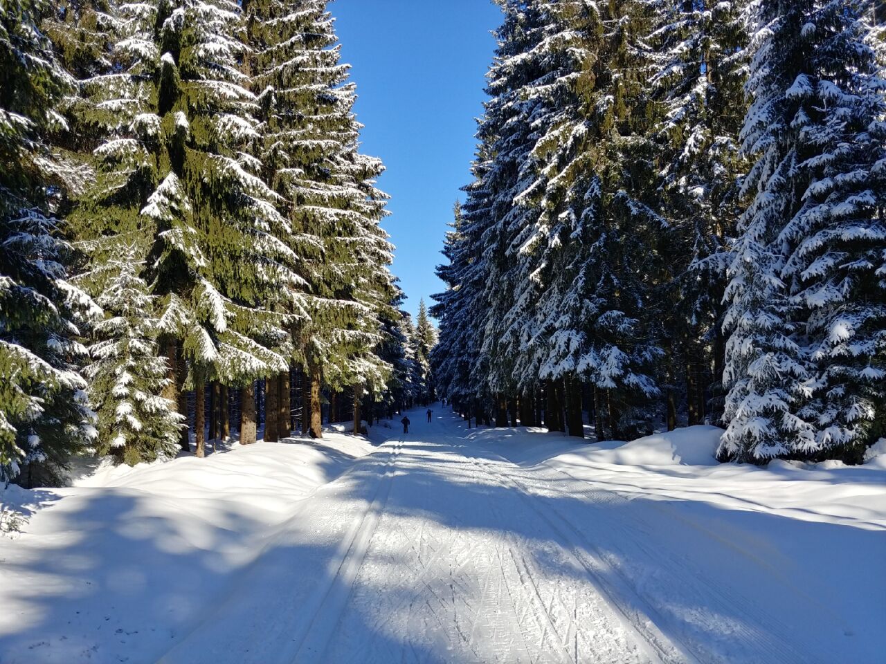 Mašle (805&nbsp;m)