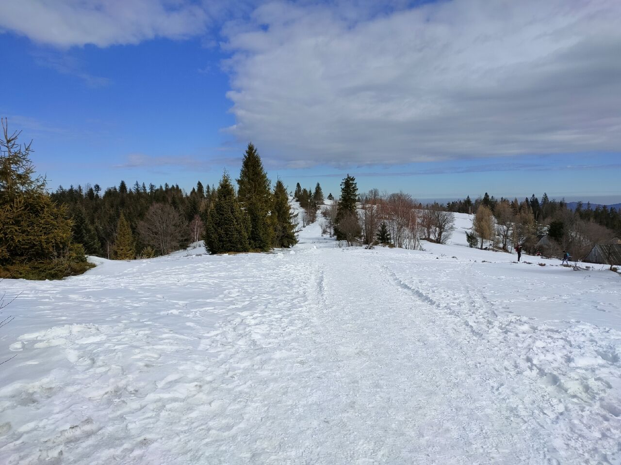 Potrójna