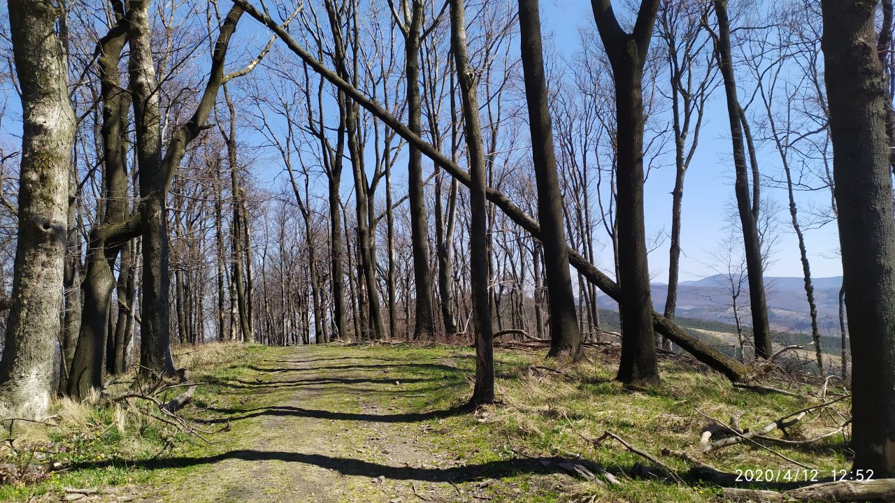 Trojačka
