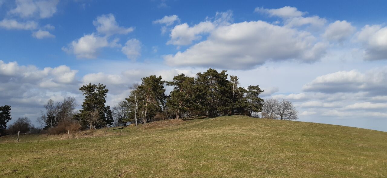 Dražovský vrch (689&nbsp;m)