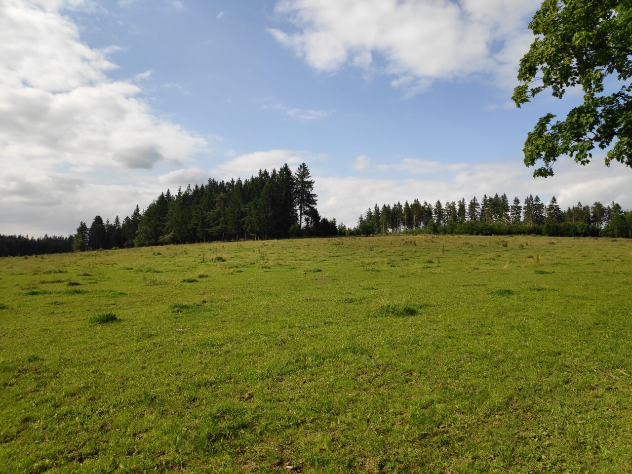 Chebský vršek