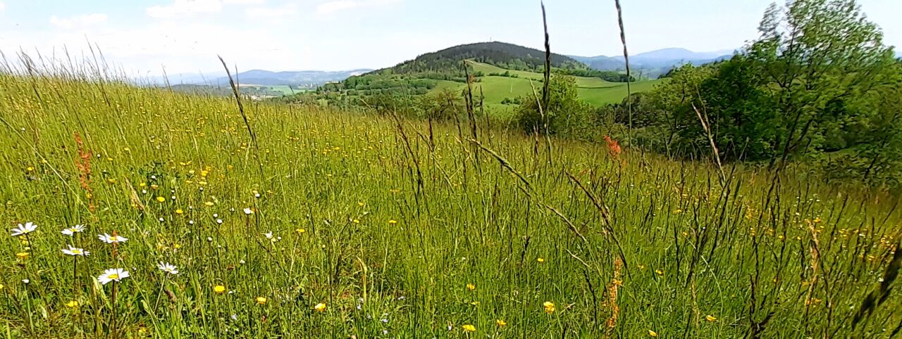 Babča (605&nbsp;m)