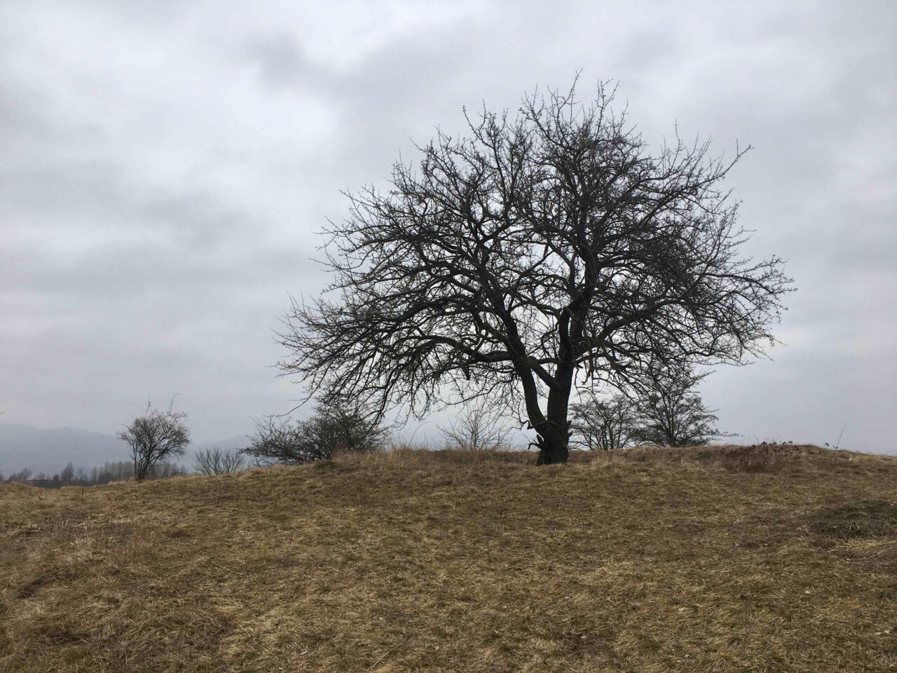 U Hrušky (475&nbsp;m)