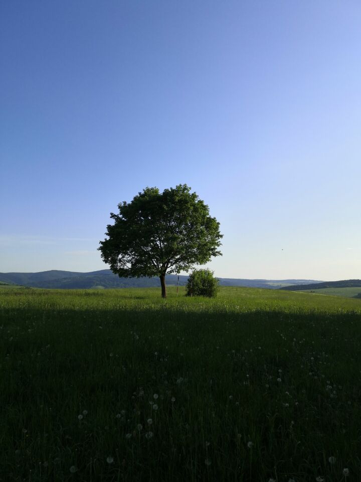 Na Horách