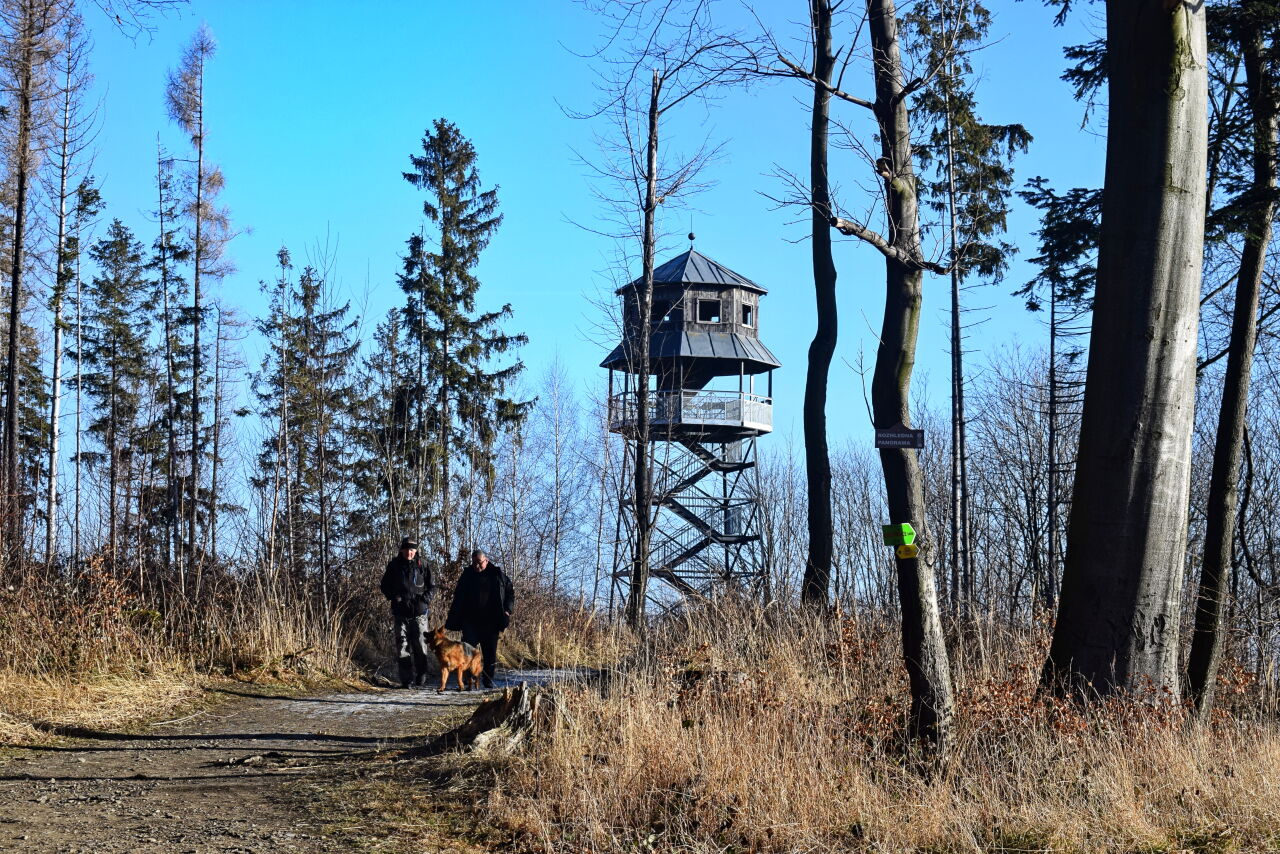 Panorama (539&nbsp;m)