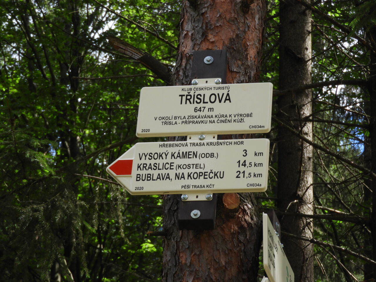 Tříslová