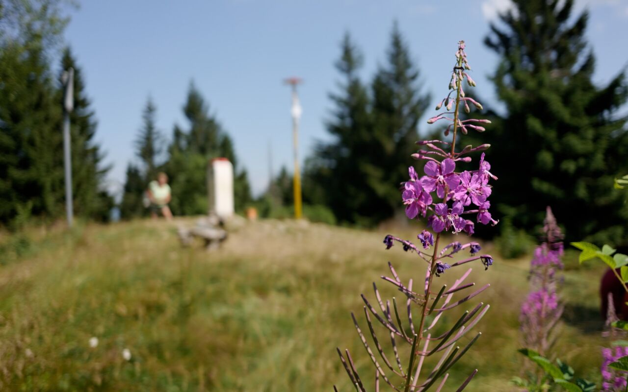 Malý Javorník