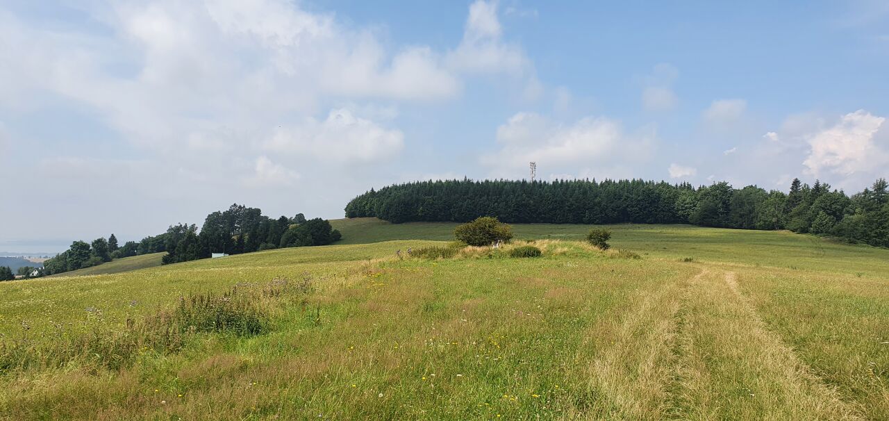 Sendražský kopec (610&nbsp;m)