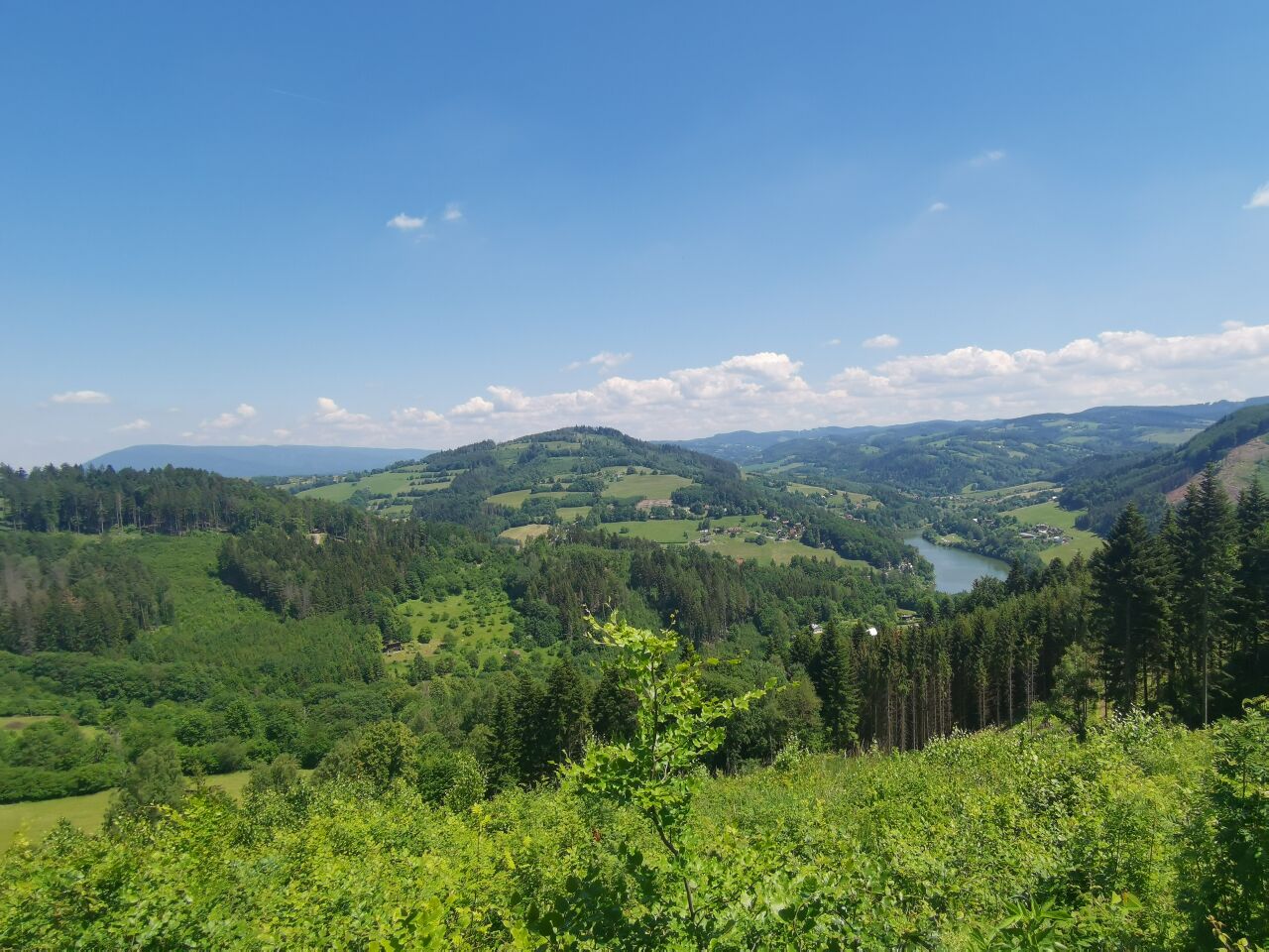 Suchý