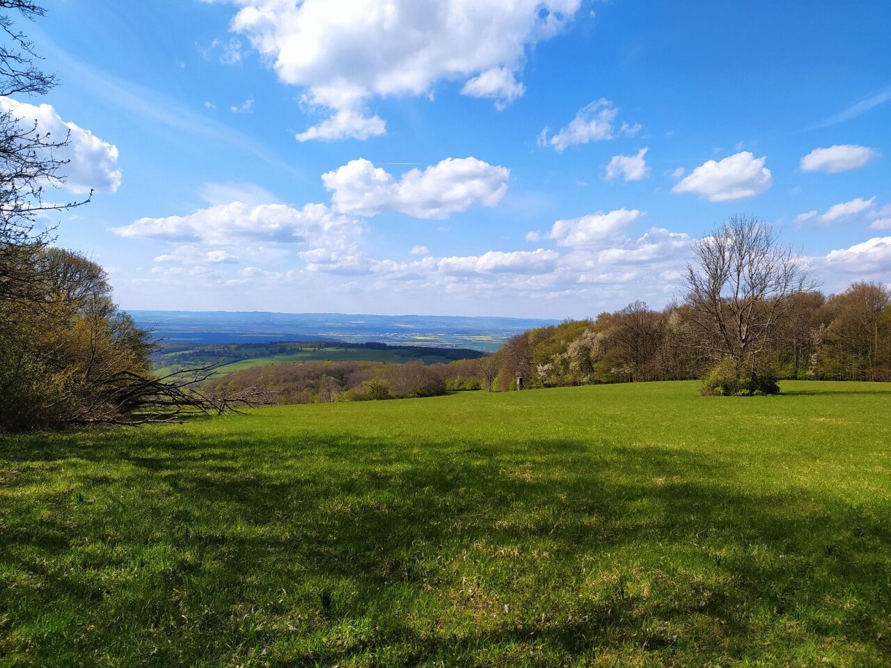 Kobyla