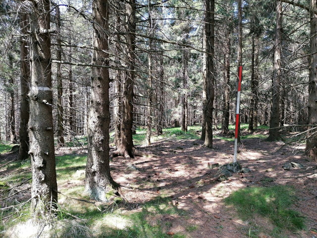 Příčný vrch (975&nbsp;m)