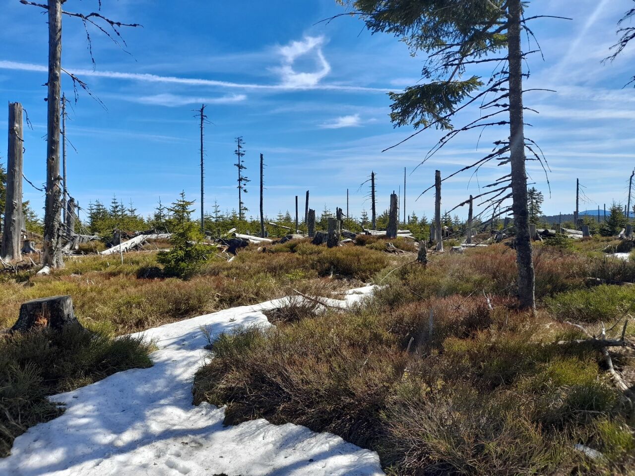 Černá hora (1316&nbsp;m)