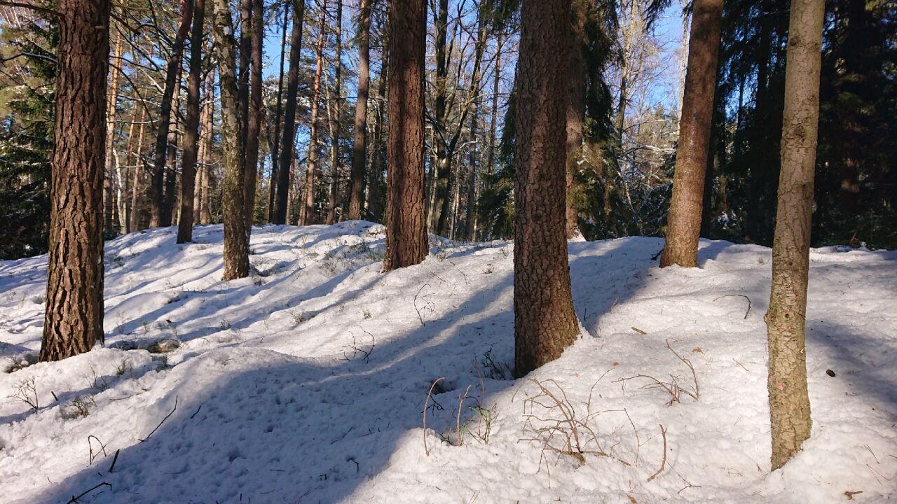 Dehtovská horka