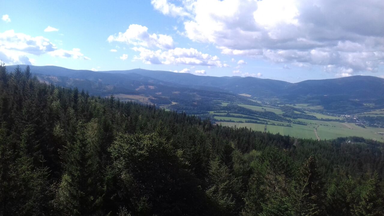 Zlatý chlum